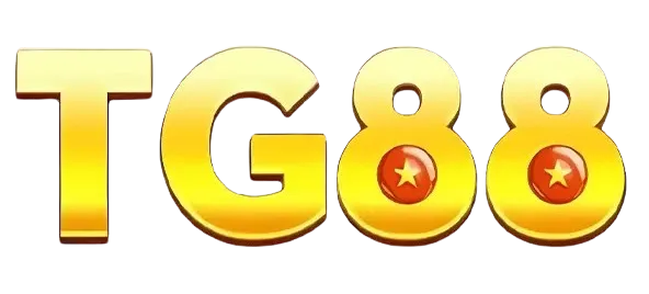tg888.co.com